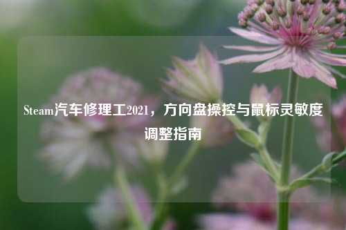 Steam汽车修理工2021,方向盘操控与鼠标灵敏度调整指南