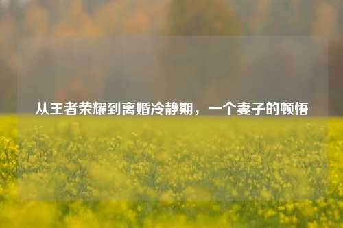 从王者荣耀到离婚冷静期,一个妻子的顿悟