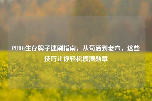 PUBG生存牌子速刷指南,从苟活到老六,这些技巧让你轻松攒满勋章