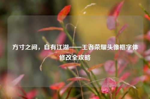 方寸之间,自有江湖——王者荣耀头像框字体修改全攻略