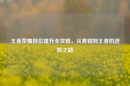 王者荣耀段位提升全攻略,从青铜到王者的进阶之路