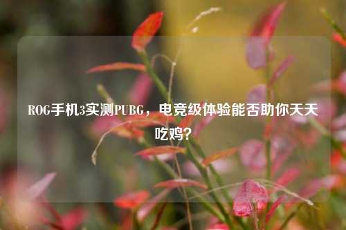 ROG手机3实测PUBG,电竞级体验能否助你天天吃鸡?