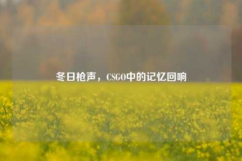 冬日枪声,CSGO中的记忆回响