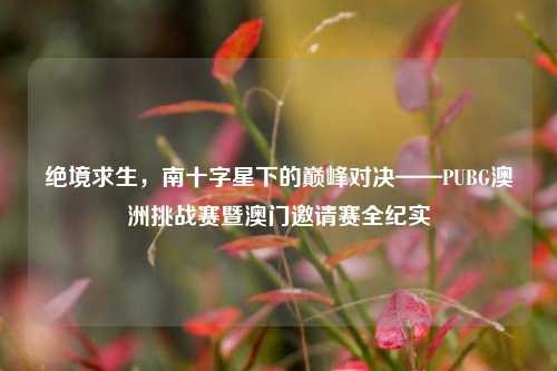 绝境求生,南十字星下的巅峰对决——PUBG澳洲挑战赛暨澳门邀请赛全纪实