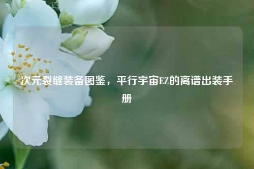 次元裂缝装备图鉴,平行宇宙EZ的离谱出装手册