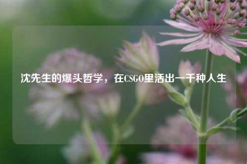 沈先生的爆头哲学,在CSGO里活出一千种人生