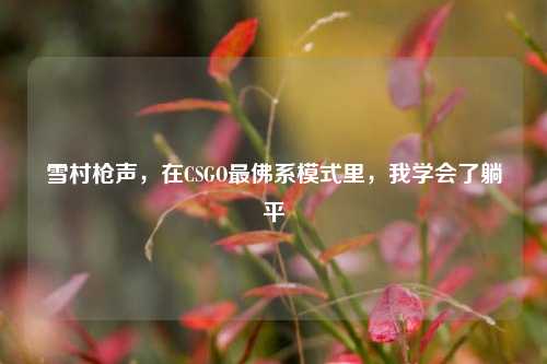 雪村枪声,在CSGO最佛系模式里,我学会了躺平