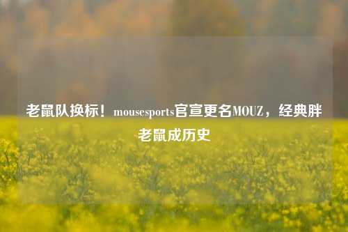 老鼠队换标!mousesports官宣更名MOUZ,经典胖老鼠成历史