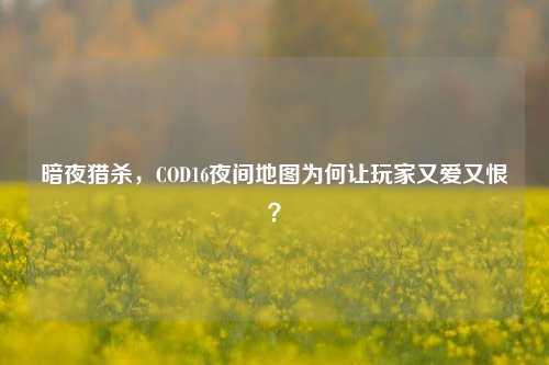 暗夜猎杀,COD16夜间地图为何让玩家又爱又恨?