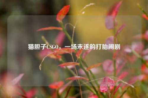 猫胆子CSGO,一场未遂的打胎闹剧