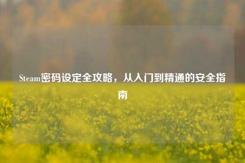 Steam密码设定全攻略，从入门到精通的安全指南