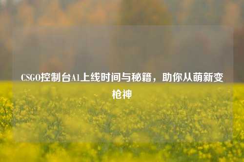 CSGO控制台A1上线时间与秘籍,助你从萌新变枪神