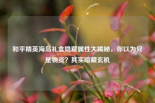 和平精英海岛礼盒隐藏属性大揭秘,你以为只是物资?其实暗藏玄机