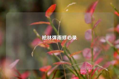 枪林弹雨修心录