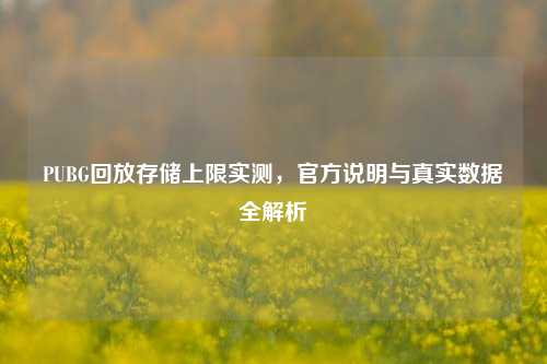 PUBG回放存储上限实测,官方说明与真实数据全解析