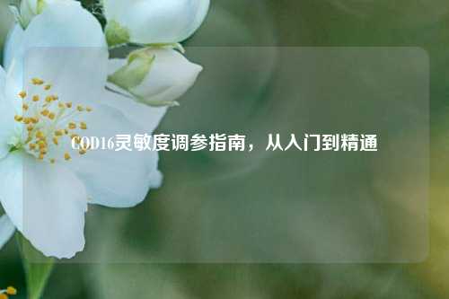COD16灵敏度调参指南,从入门到精通