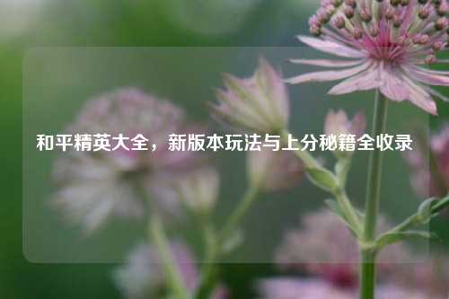 和平精英大全,新版本玩法与上分秘籍全收录