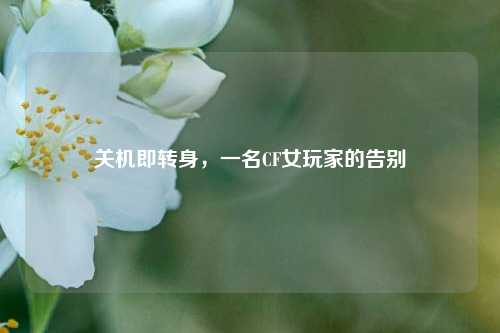 关机即转身,一名CF女玩家的告别