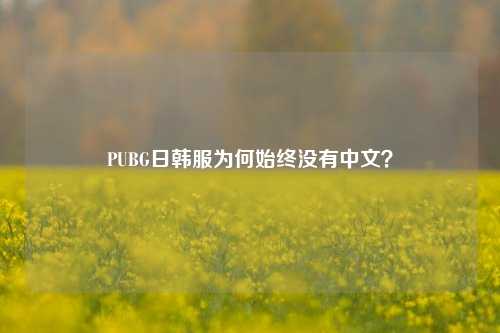 PUBG日韩服为何始终没有中文?