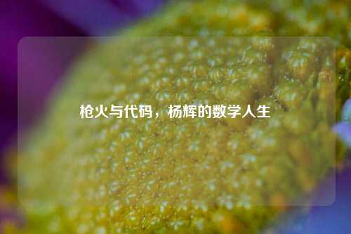 枪火与代码,杨辉的数学人生