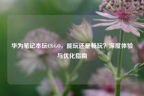 华为笔记本玩CS:GO,能玩还是畅玩?深度体验与优化指南