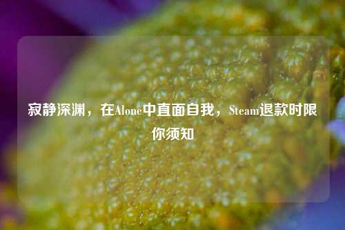 寂静深渊,在Alone中直面自我,Steam退款时限你须知