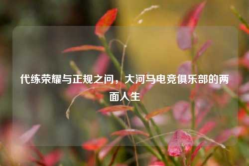 代练荣耀与正规之问,大河马电竞俱乐部的两面人生