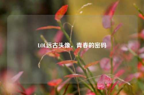 LOL远古头像,青春的密码
