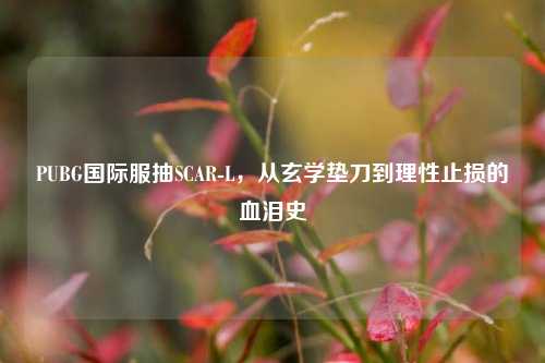 PUBG国际服抽SCAR-L,从玄学垫刀到理性止损的血泪史