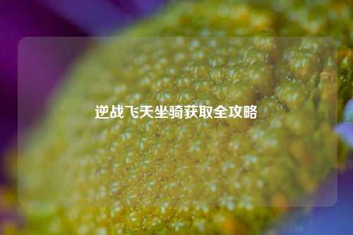 逆战飞天坐骑获取全攻略