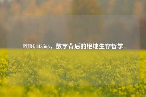 PUBG445566,数字背后的绝地生存哲学