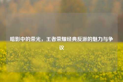 暗影中的荣光,王者荣耀经典反派的魅力与争议