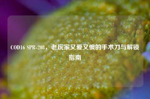 COD16 SPR-208,老玩家又爱又恨的手术刀与解锁指南