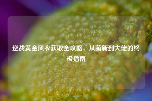 逆战黄金风衣获取全攻略,从萌新到大佬的终极指南