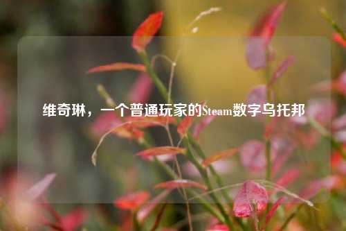 维奇琳,一个普通玩家的Steam数字乌托邦