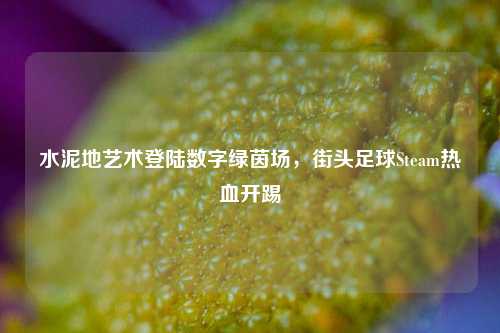 水泥地艺术登陆数字绿茵场,街头足球Steam热血开踢