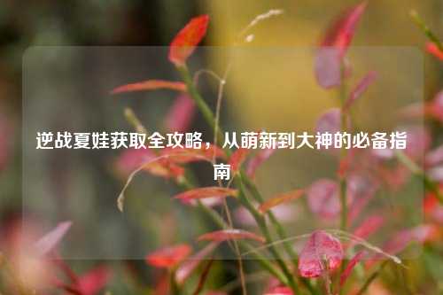 逆战夏娃获取全攻略,从萌新到大神的必备指南