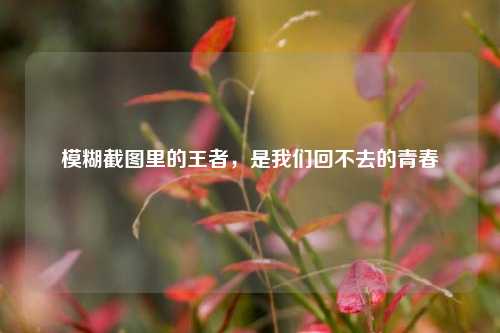 模糊截图里的王者,是我们回不去的青春