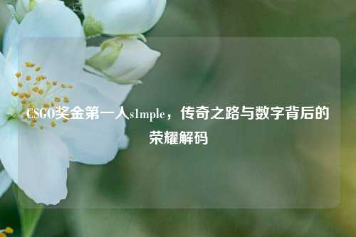 CSGO奖金第一人s1mple,传奇之路与数字背后的荣耀解码