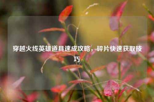 穿越火线英雄道具速成攻略,碎片快速获取技巧