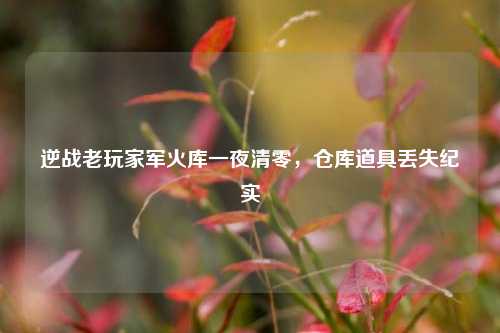 逆战老玩家军火库一夜清零，仓库道具丢失纪实