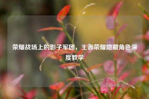 荣耀战场上的影子军团，王者荣耀隐藏角色深度教学