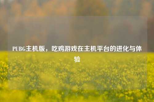 PUBG主机版,吃鸡游戏在主机平台的进化与体验