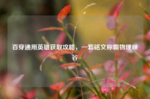 百穿通用英雄获取攻略,一套铭文称霸物理峡谷