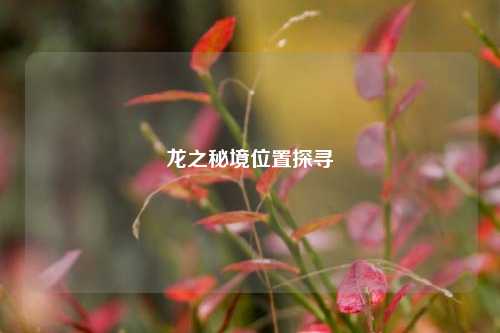 龙之秘境位置探寻