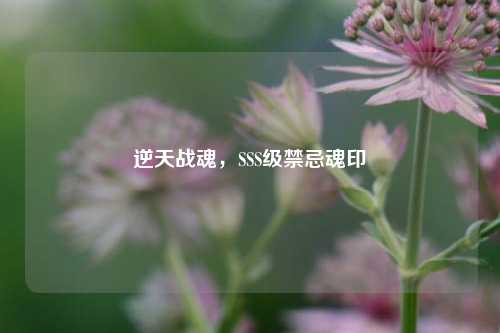 逆天战魂,SSS级禁忌魂印