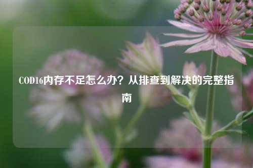 COD16内存不足怎么办?从排查到解决的完整指南
