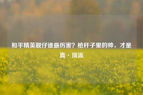 和平精英靓仔谁最厉害?枪杆子里的帅,才是真·顶流