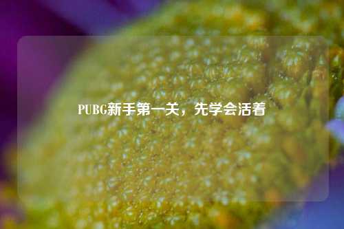 PUBG新手第一关，先学会活着