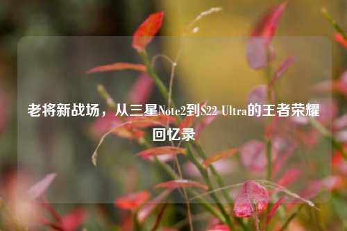 老将新战场，从三星Note2到S22 Ultra的王者荣耀回忆录